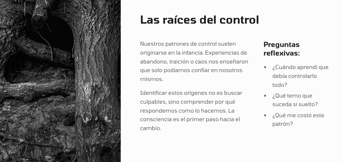 Módulo 1: Reconocer tus patrones de control – interior del ebook Suelta el Control y Confía